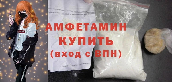 индика Карпинск